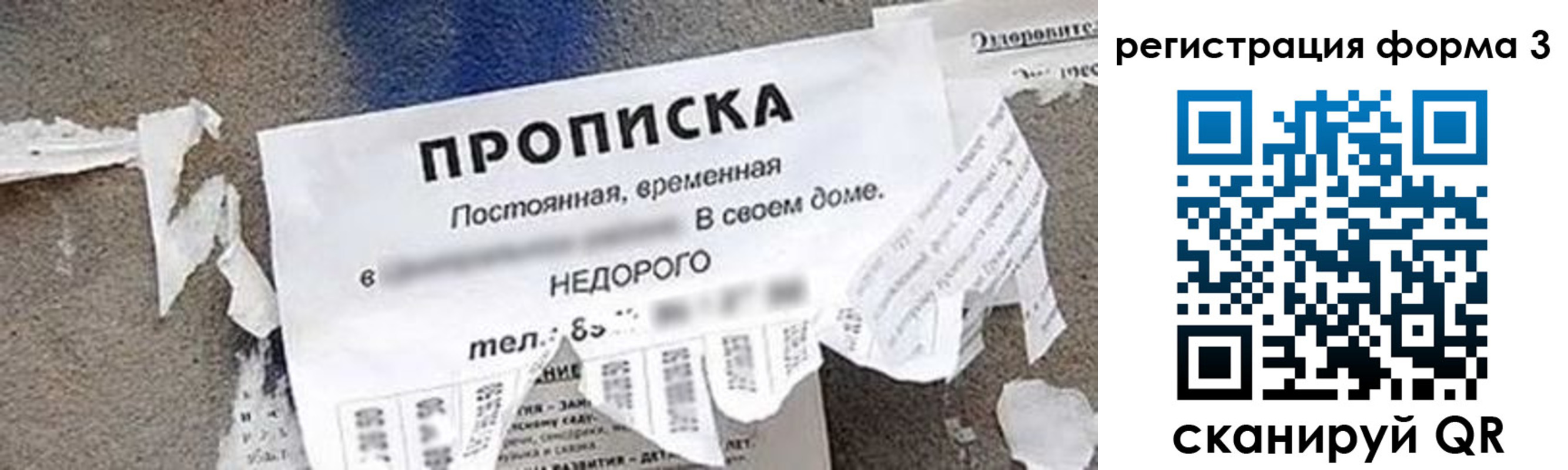 прописка 2025 в Суздали